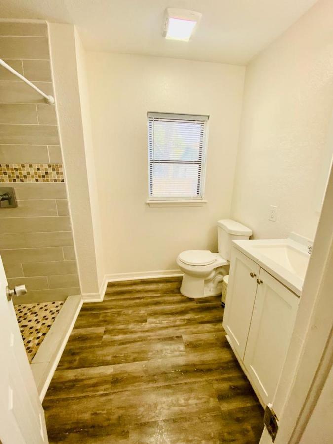 Two Fully Equipped Apartments And A Studio 5 Miles From The Beach St. Petersburg Eksteriør bilde