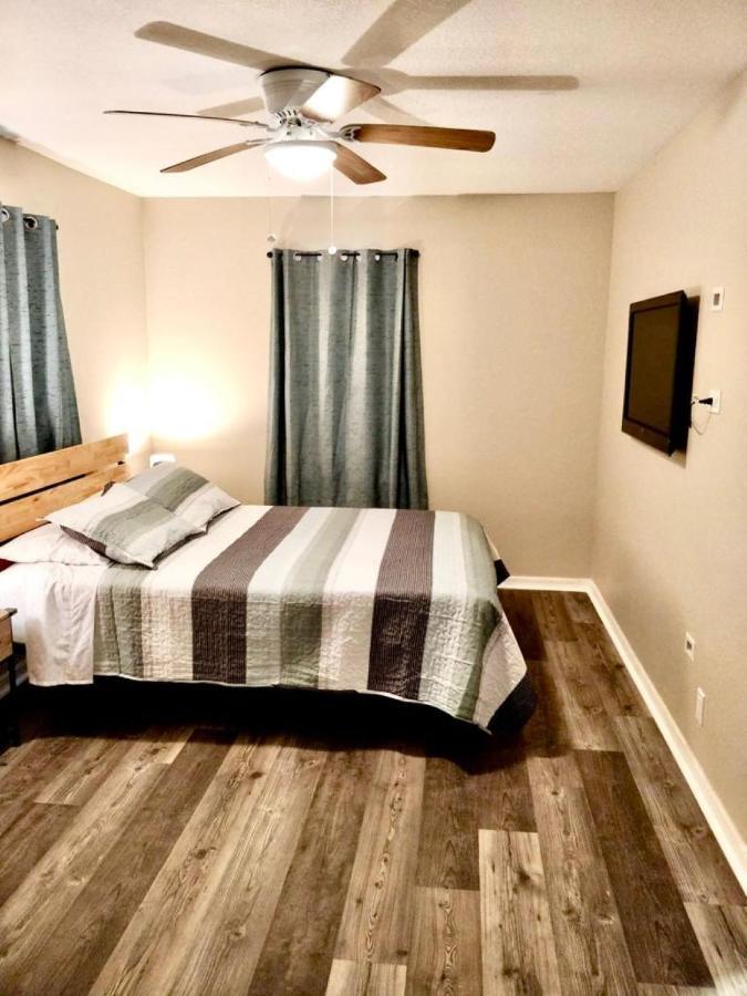Two Fully Equipped Apartments And A Studio 5 Miles From The Beach St. Petersburg Eksteriør bilde